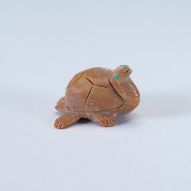 Nelson Yatsattie: Dolomite, Turtle