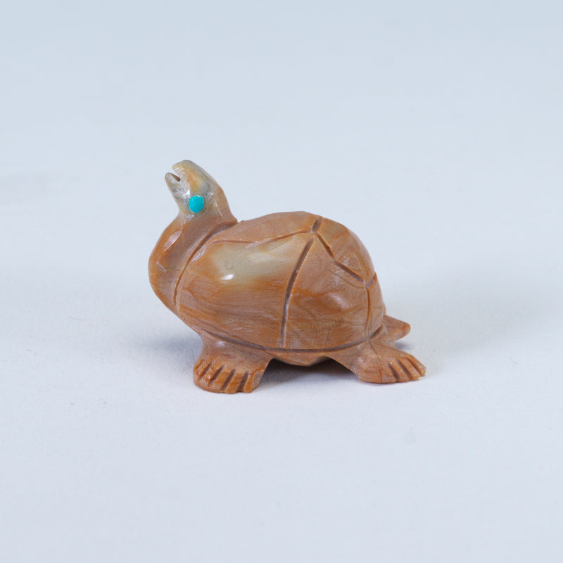Nelson Yatsattie: Dolomite, Turtle