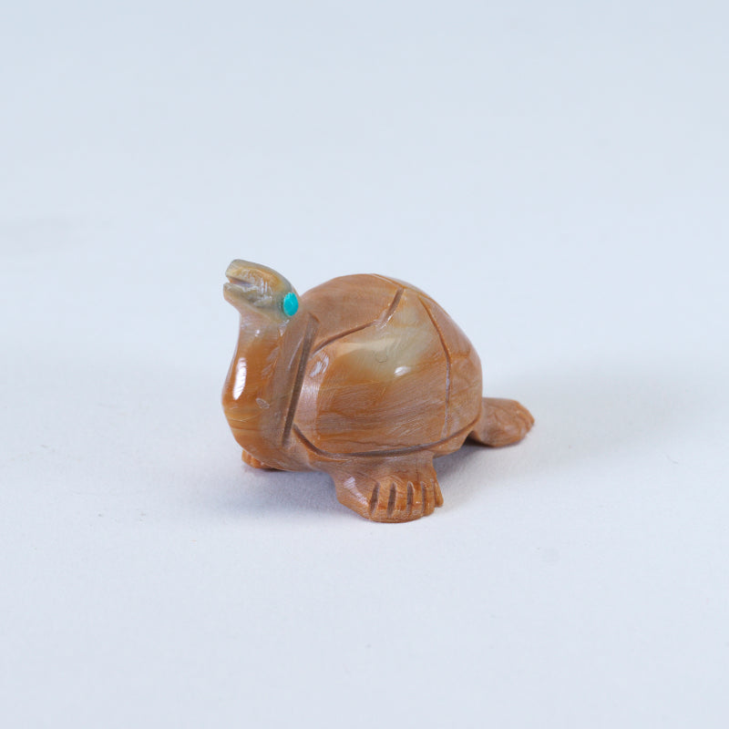 Nelson Yatsattie: Dolomite, Turtle