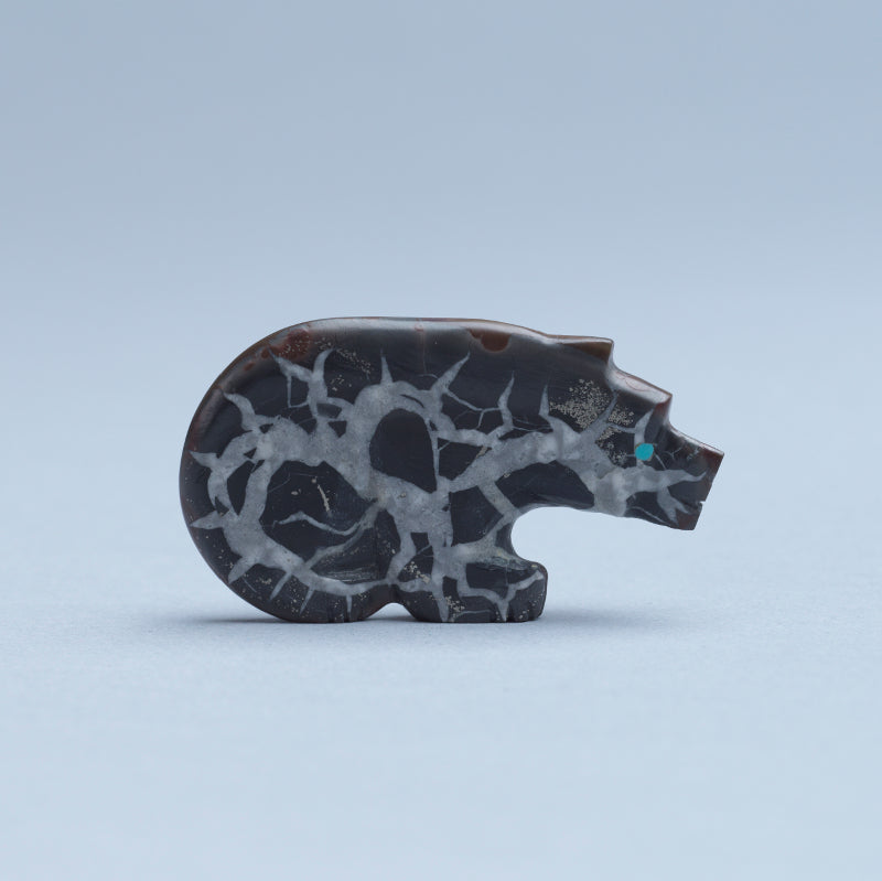 Kateri Q. Sanchez: Septarian Concreation, Bear