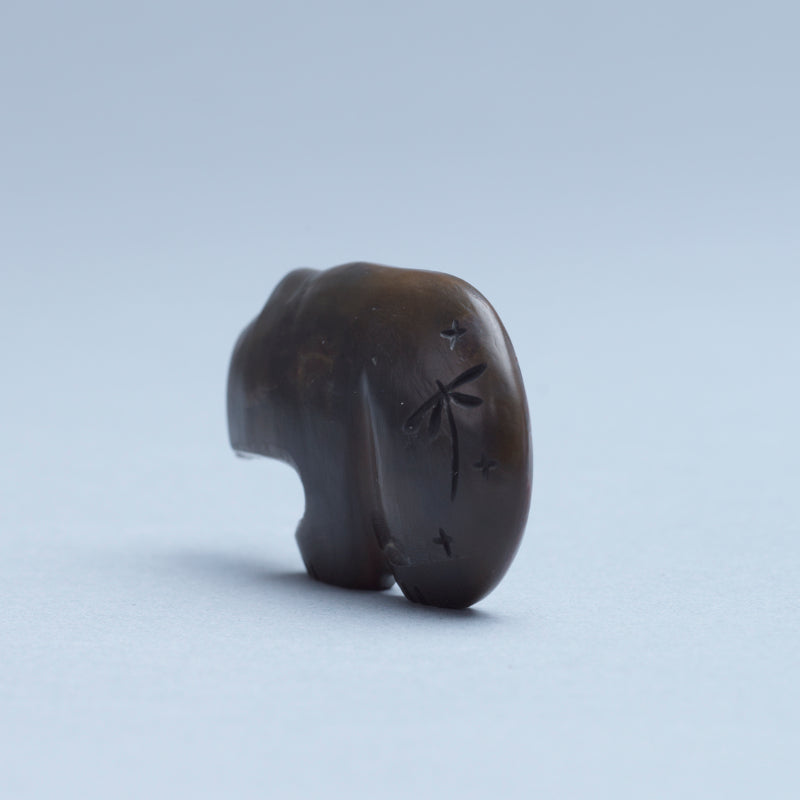 Kateri Q. Sanchez: Septarian Concreation, Bear