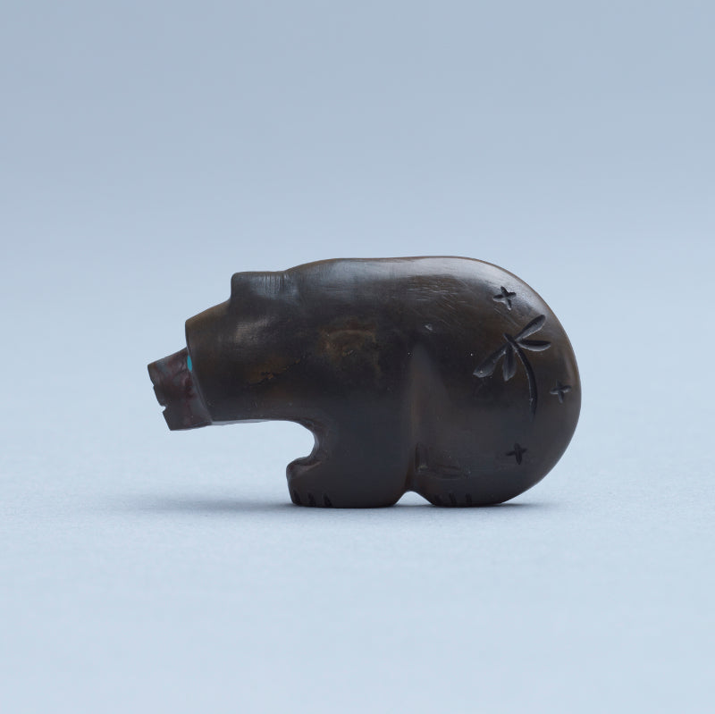 Kateri Q. Sanchez: Septarian Concreation, Bear