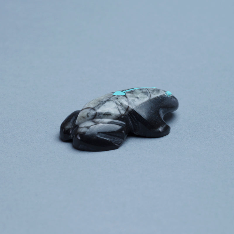 Kenric Laiwekate: Ammonite, Frog