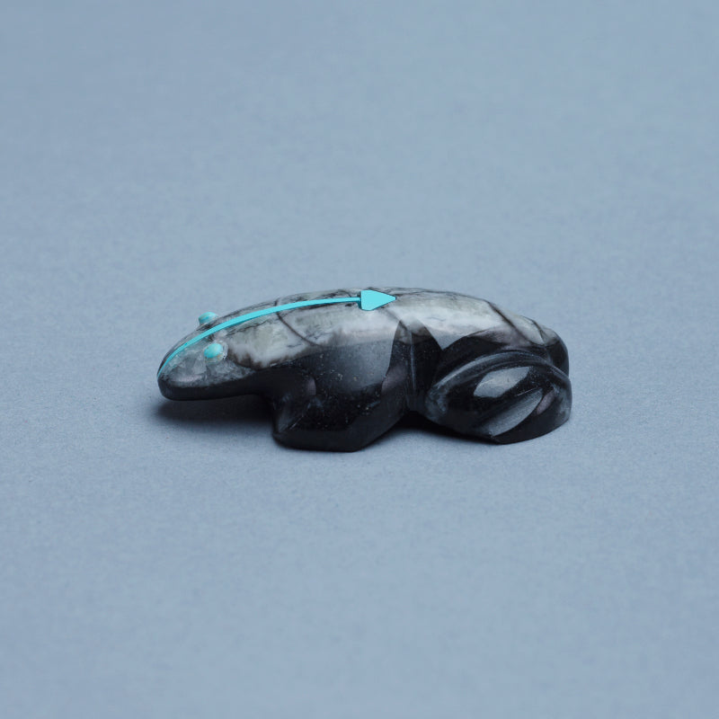 Kenric Laiwekate: Ammonite, Frog