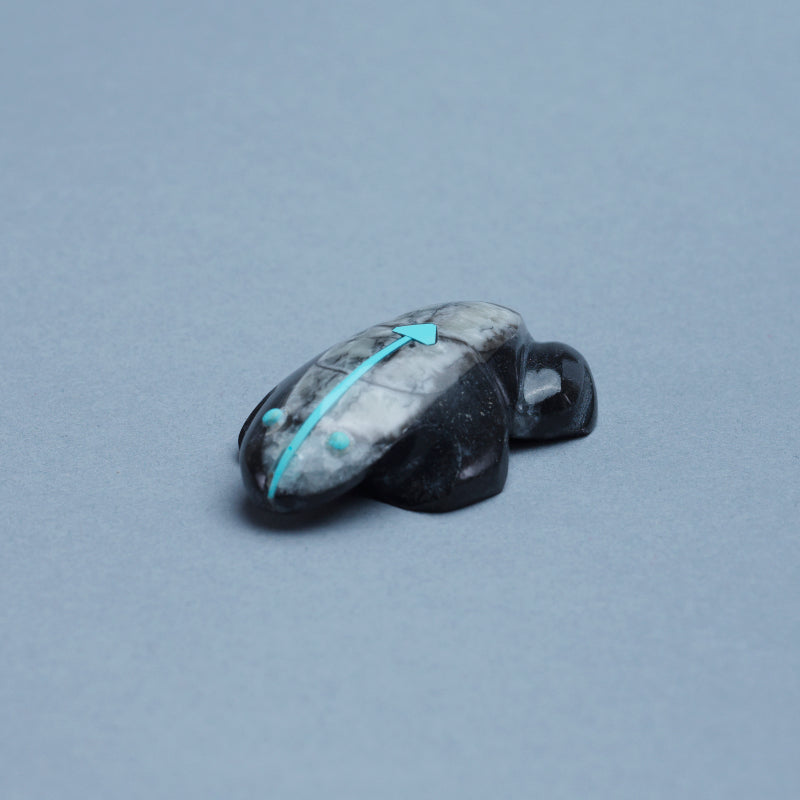 Kenric Laiwekate: Ammonite, Frog