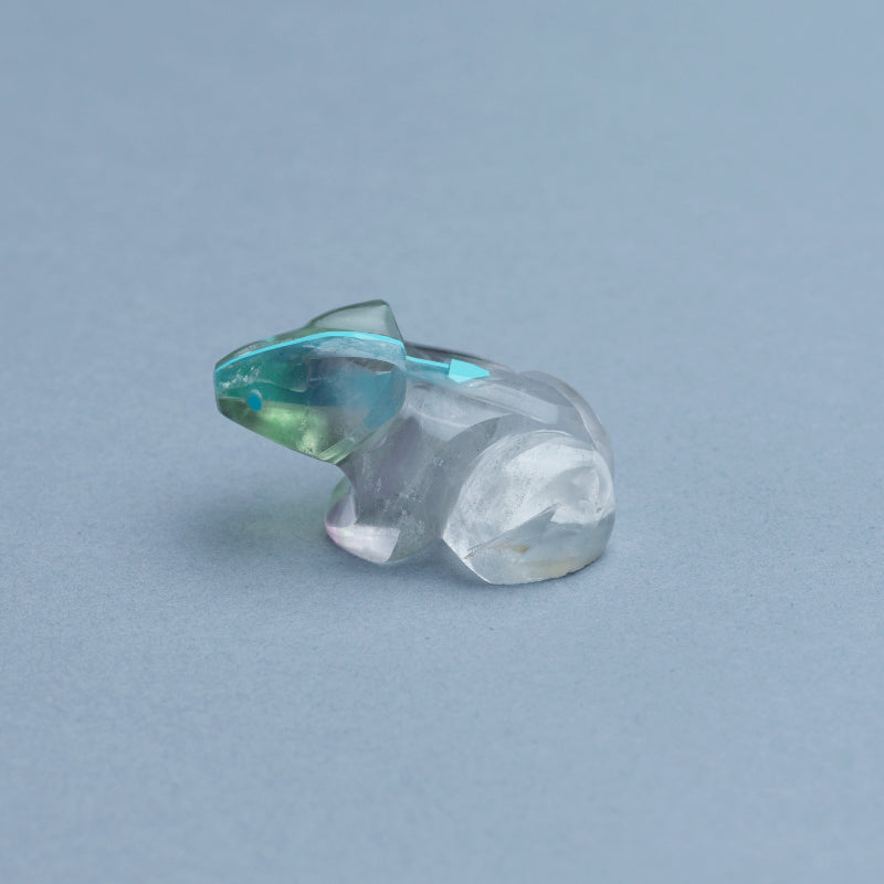 Kenric Laiwekate: Chinese Fluorite, Frog