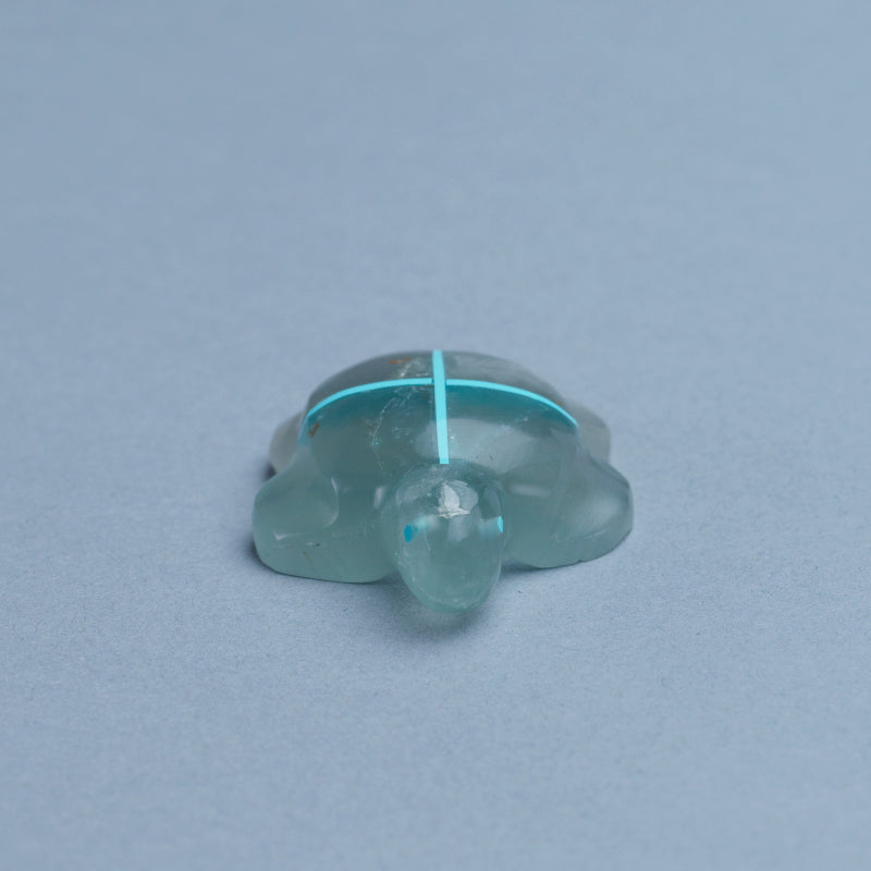 Kenric Laiwekate: Chinese Fluorite, Turtle