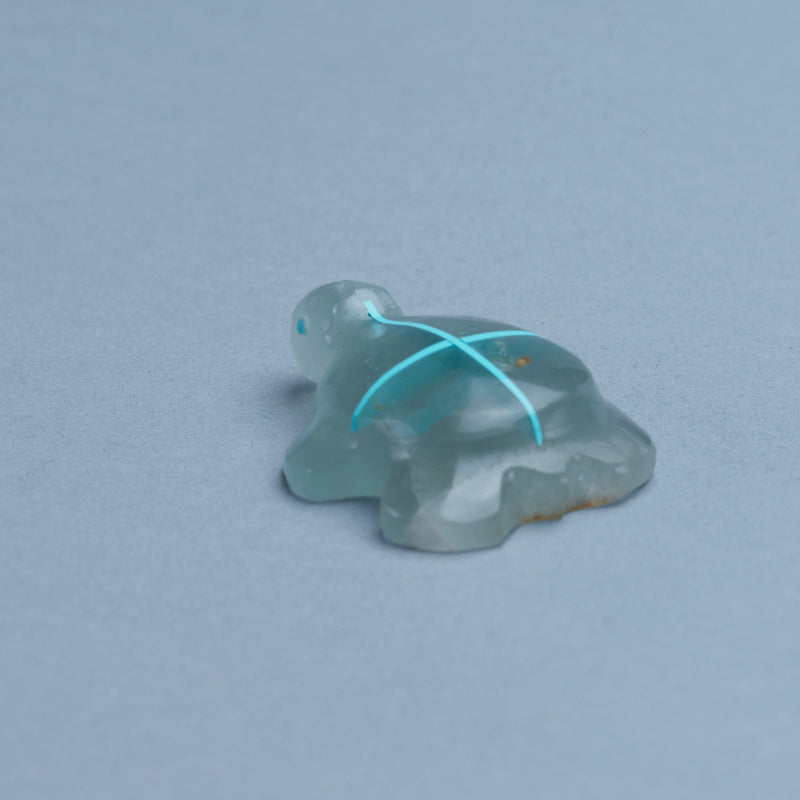 Kenric Laiwekate: Chinese Fluorite, Turtle