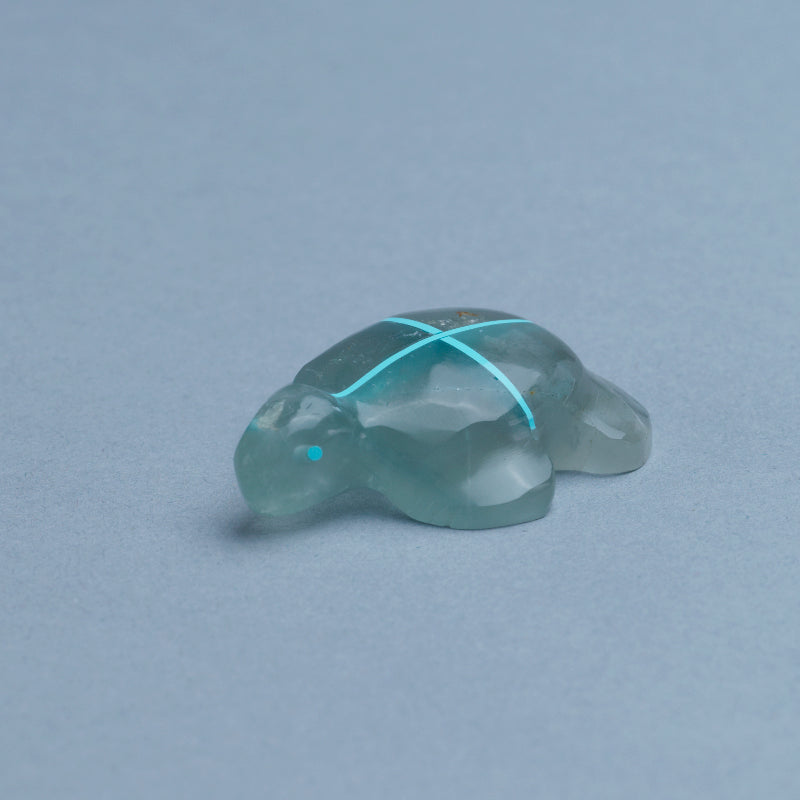 Kenric Laiwekate: Chinese Fluorite, Turtle