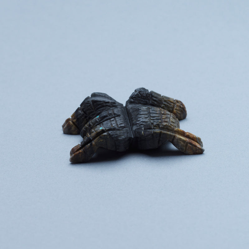 Tony Mackel: Picasso, Tarantula