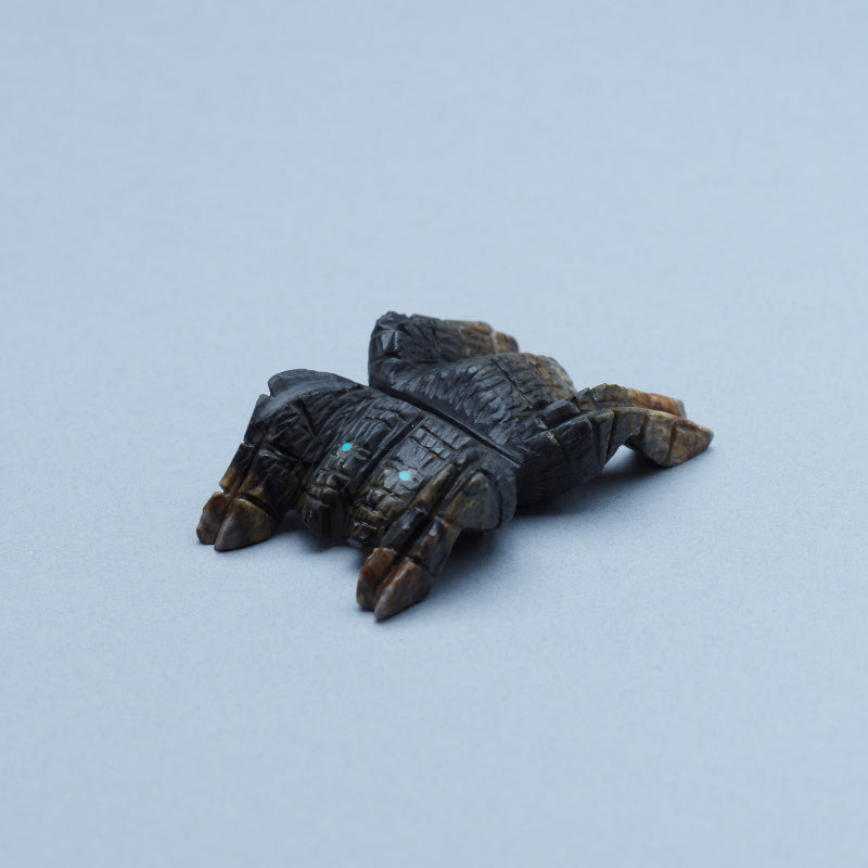 Tony Mackel: Picasso, Tarantula