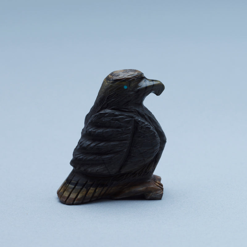 Tony Mackel: Picasso, Eagle