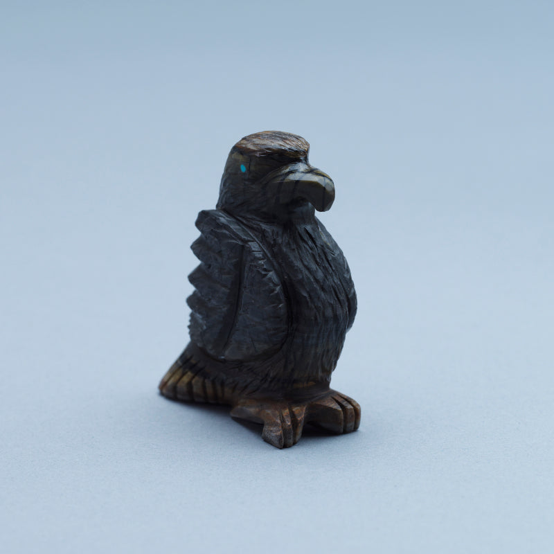 Tony Mackel: Picasso, Eagle