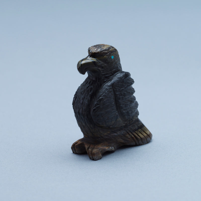 Tony Mackel: Picasso, Eagle