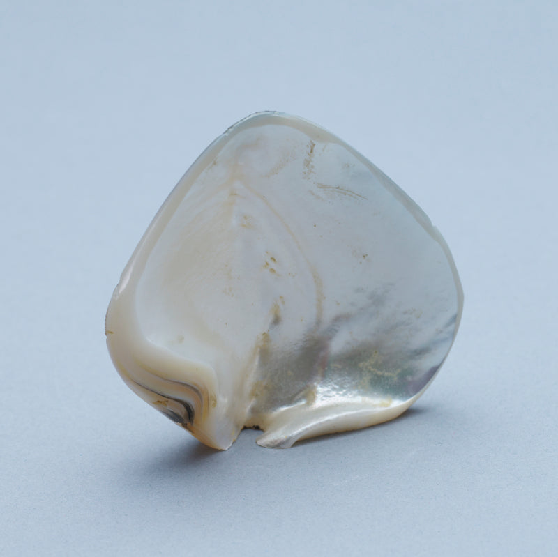 Kateri Q. Sanchez: Black Lip Shell, 3 Maidens