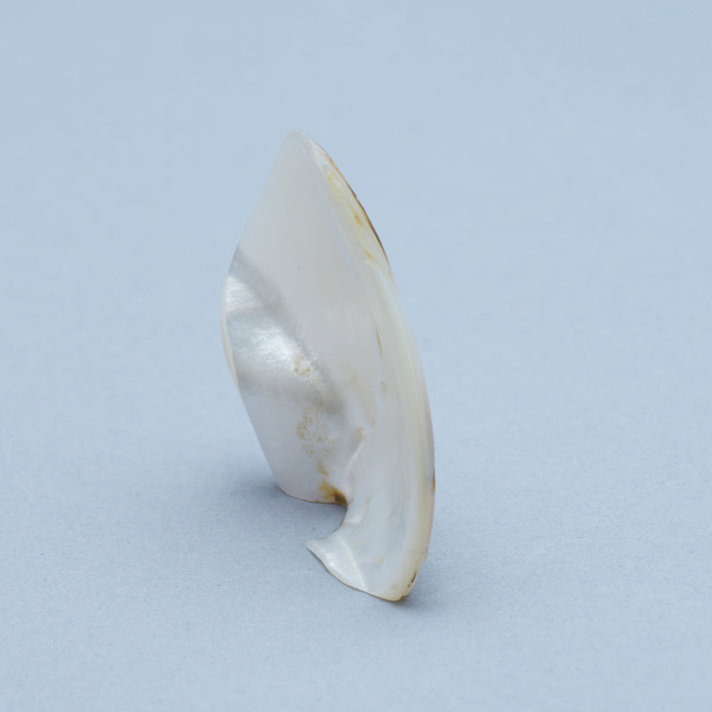 Kateri Q. Sanchez: Black Lip Shell, Maiden