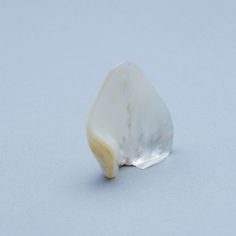 Kateri Q. Sanchez: Black Lip Shell, Maiden