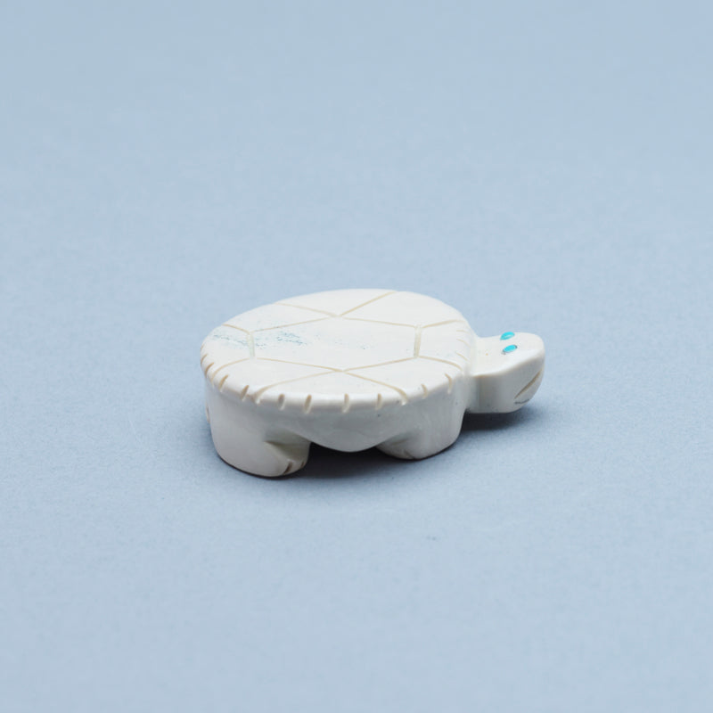 Taylor Gia: Fishrock, Turtle