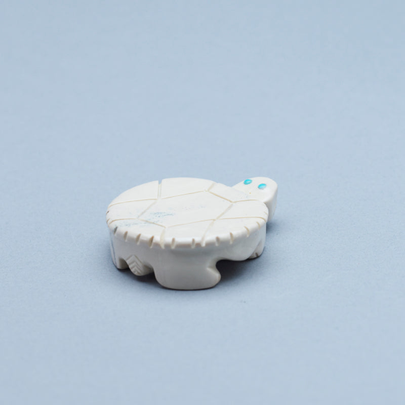 Taylor Gia: Fishrock, Turtle