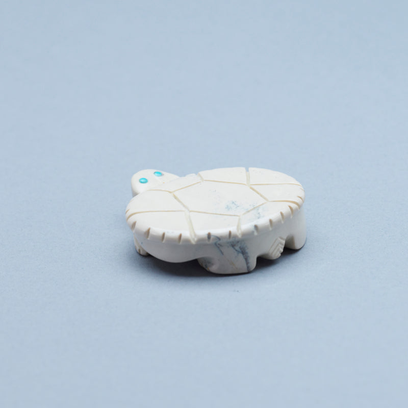 Taylor Gia: Fishrock, Turtle