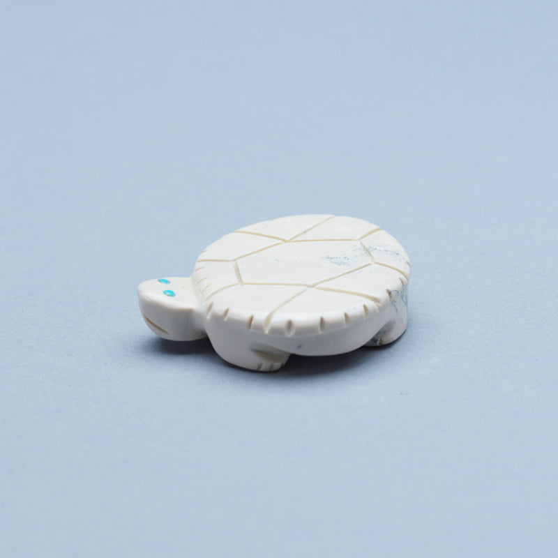 Taylor Gia: Fishrock, Turtle