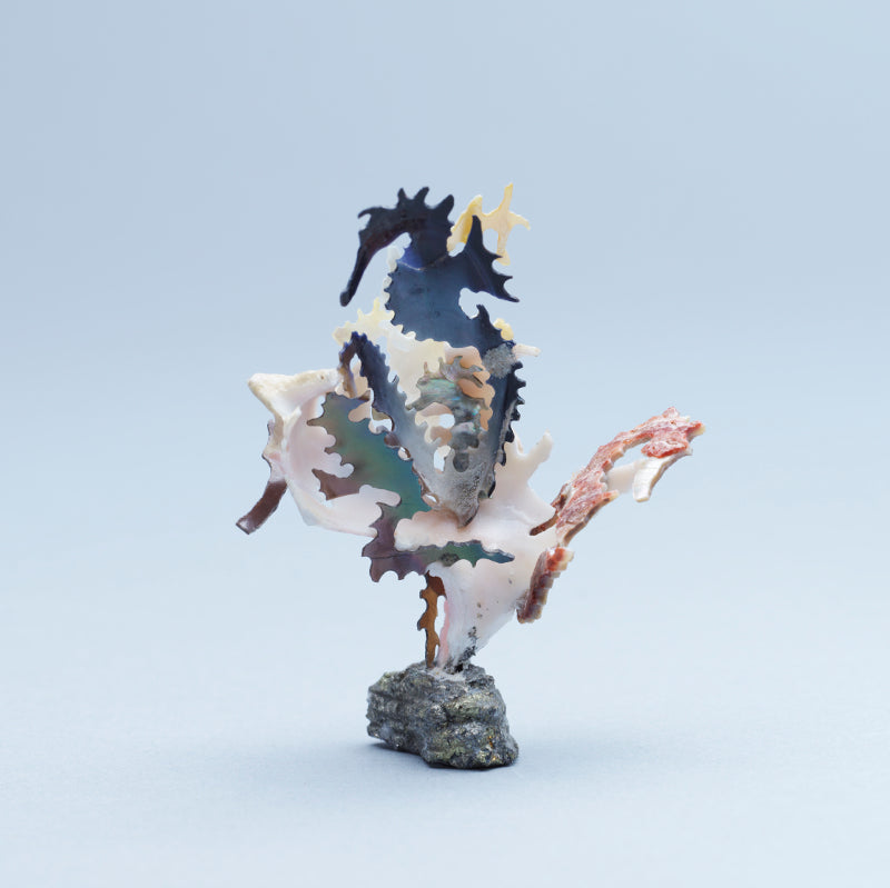 Ruben Najera: Shell, Sea Horses