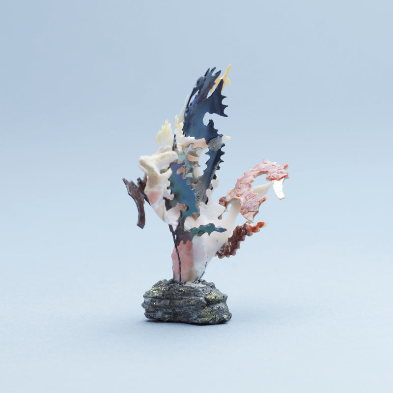 Ruben Najera: Shell, Sea Horses