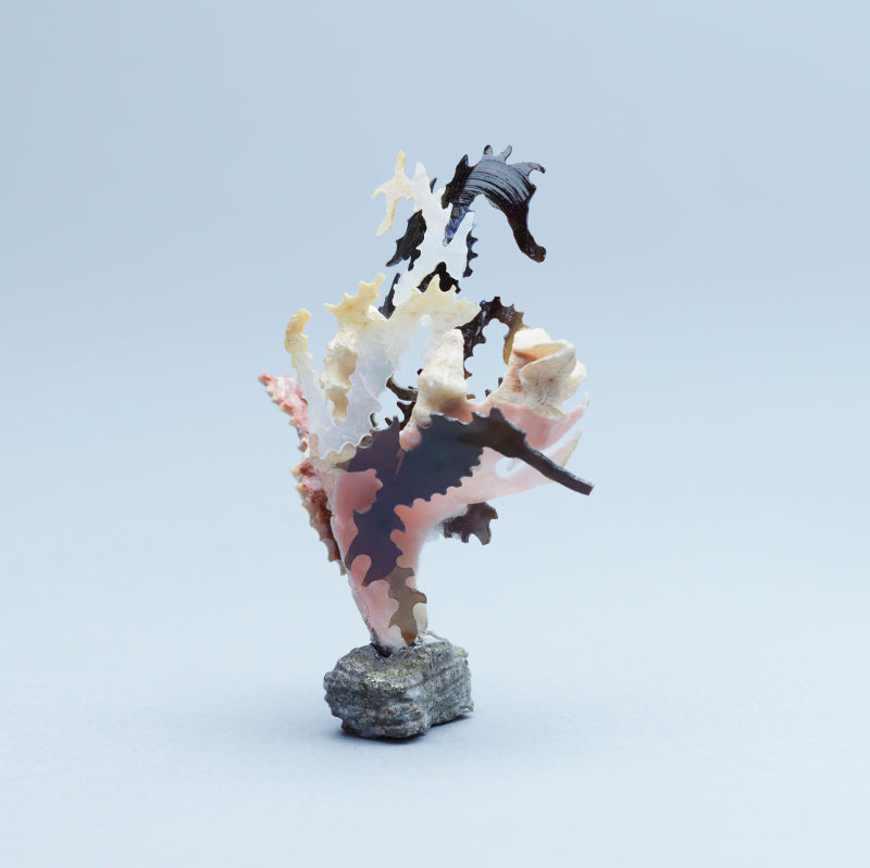 Ruben Najera: Shell, Sea Horses