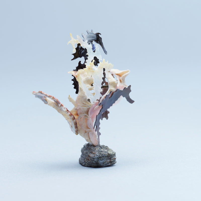 Ruben Najera: Shell, Sea Horses