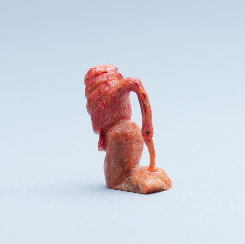 Ruben Najera: Apple Coral, Scarlet Ibis