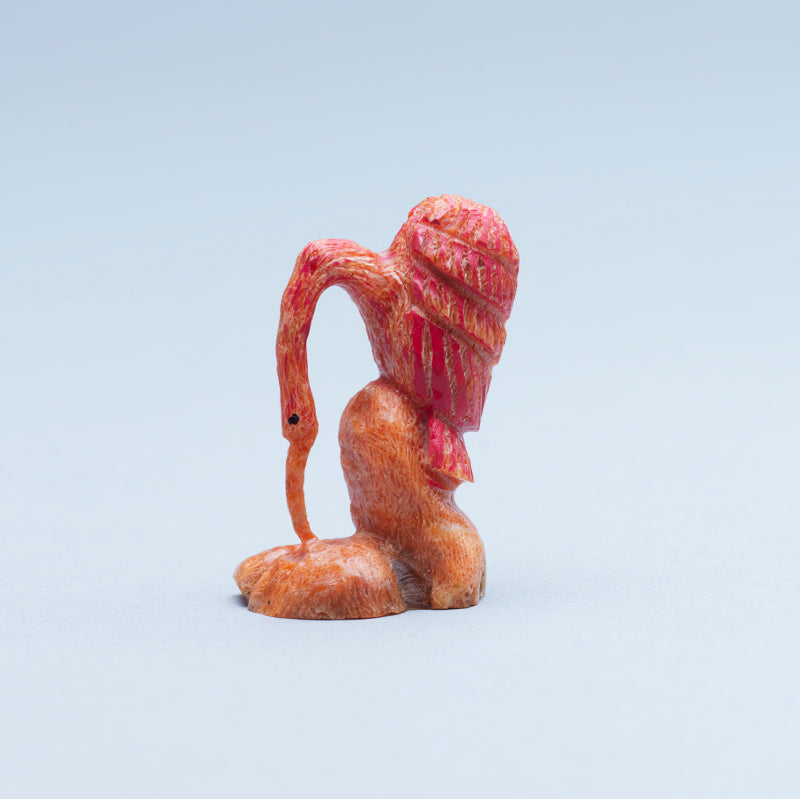 Ruben Najera: Apple Coral, Scarlet Ibis