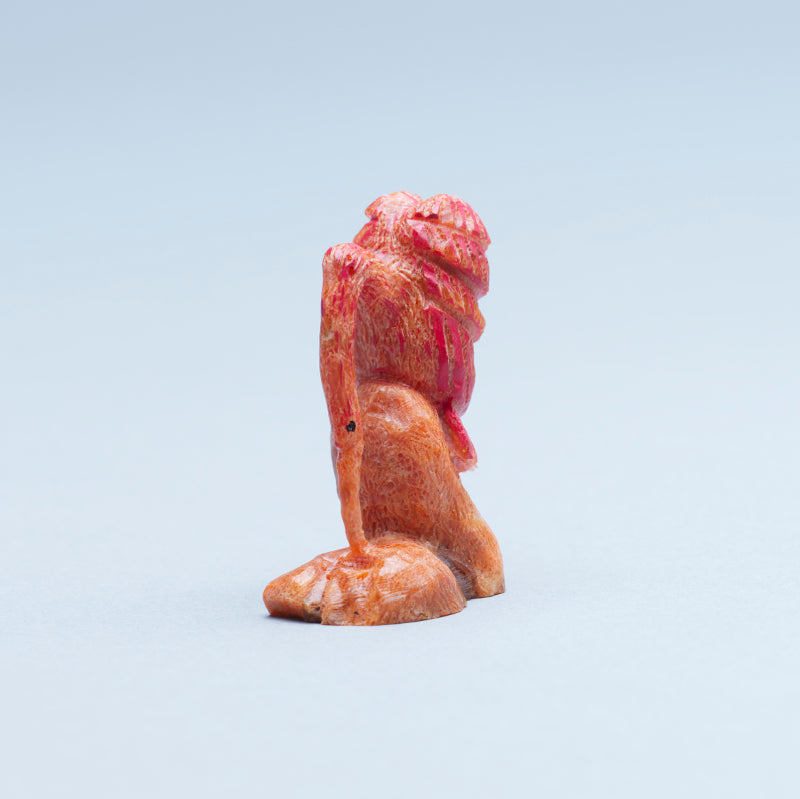 Ruben Najera: Apple Coral, Scarlet Ibis