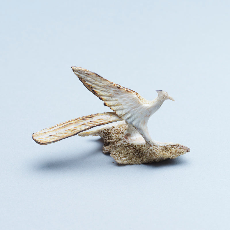 Ruben Najera: Bone, Roadrunner