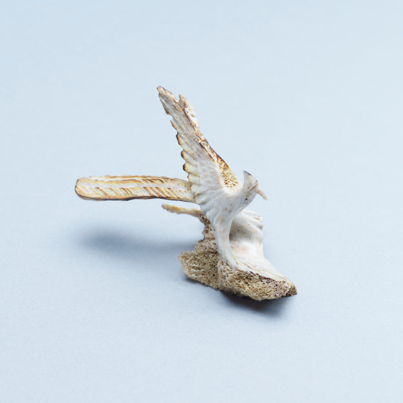 Ruben Najera: Bone, Roadrunner