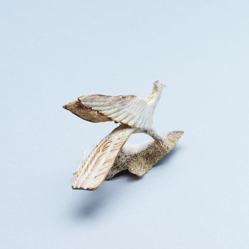 Ruben Najera: Bone, Roadrunner