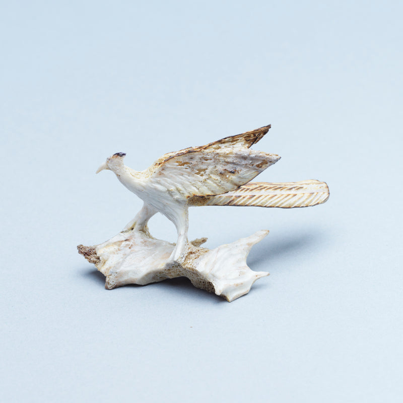 Ruben Najera: Bone, Roadrunner