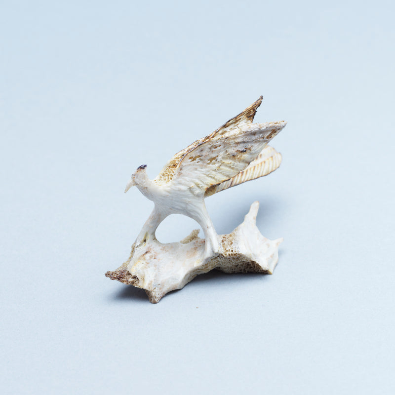 Ruben Najera: Bone, Roadrunner