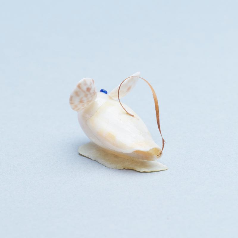 Ruben Najera: Shell, Mouse on Base