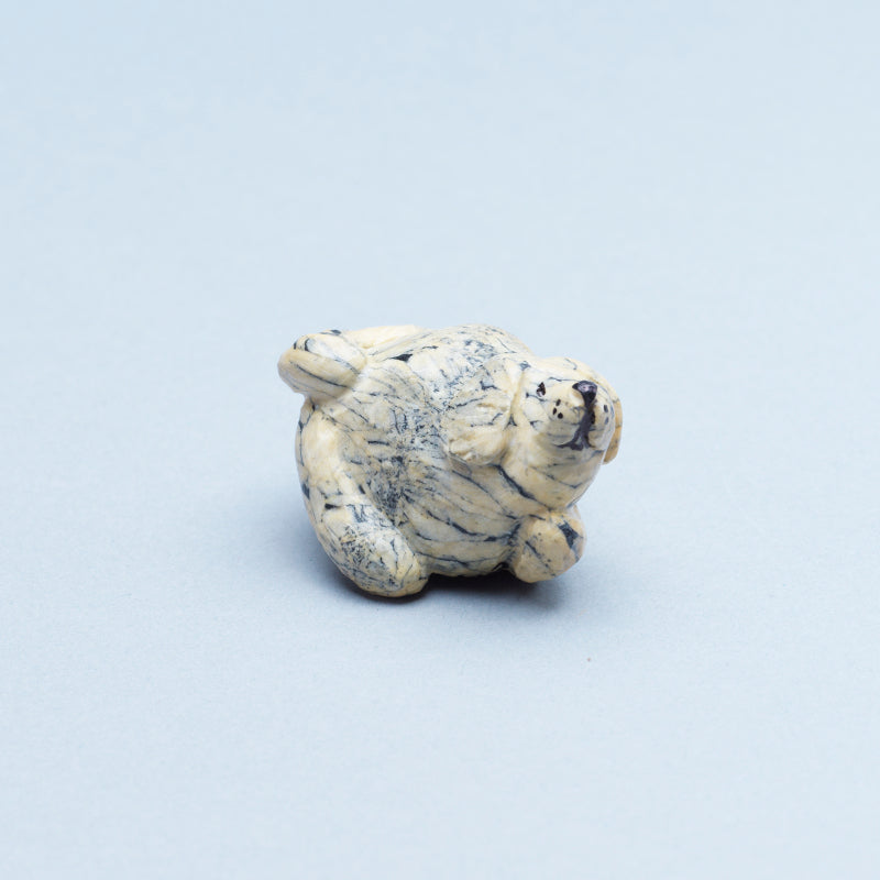 Ruben Najera: Canadian Stone, Dog