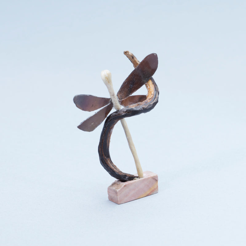 Ruben Najera: Antler/Abalone Shell, Dragonfly