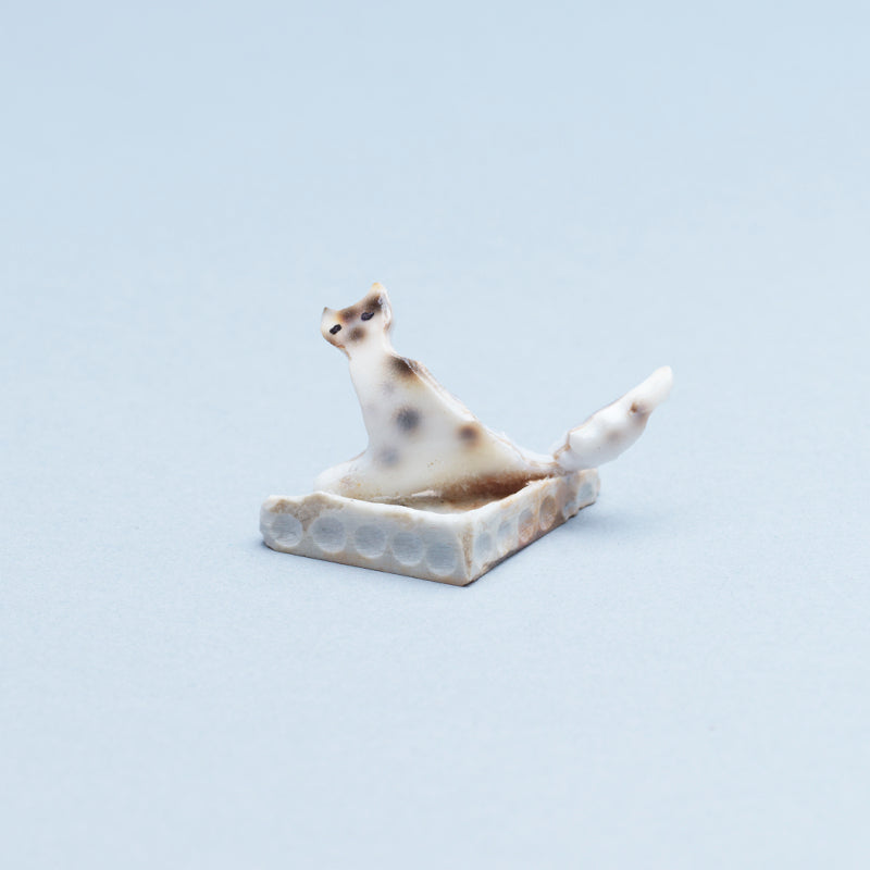 Ruben Najera: Cowry Shell, Cat