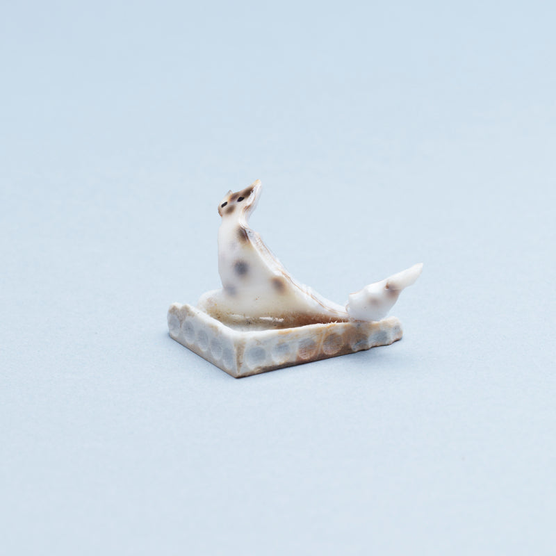 Ruben Najera: Cowry Shell, Cat