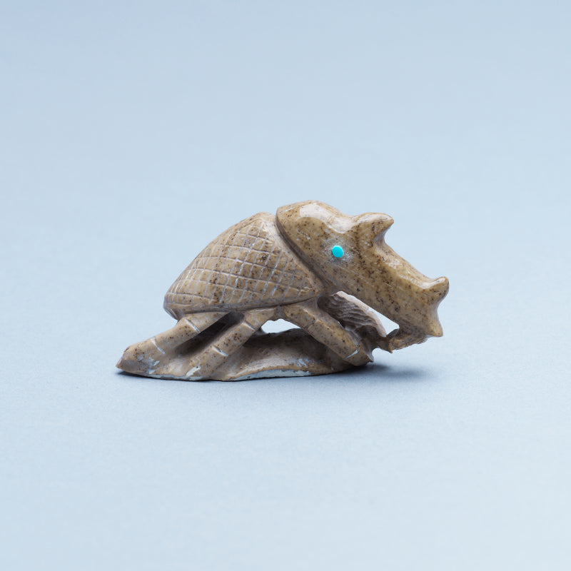 Derrick Kaamasee: Brown Fishrock, Rhino Beetle