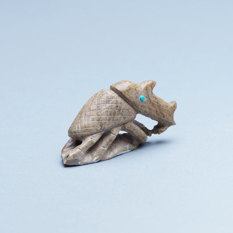 Derrick Kaamasee: Brown Fishrock, Rhino Beetle