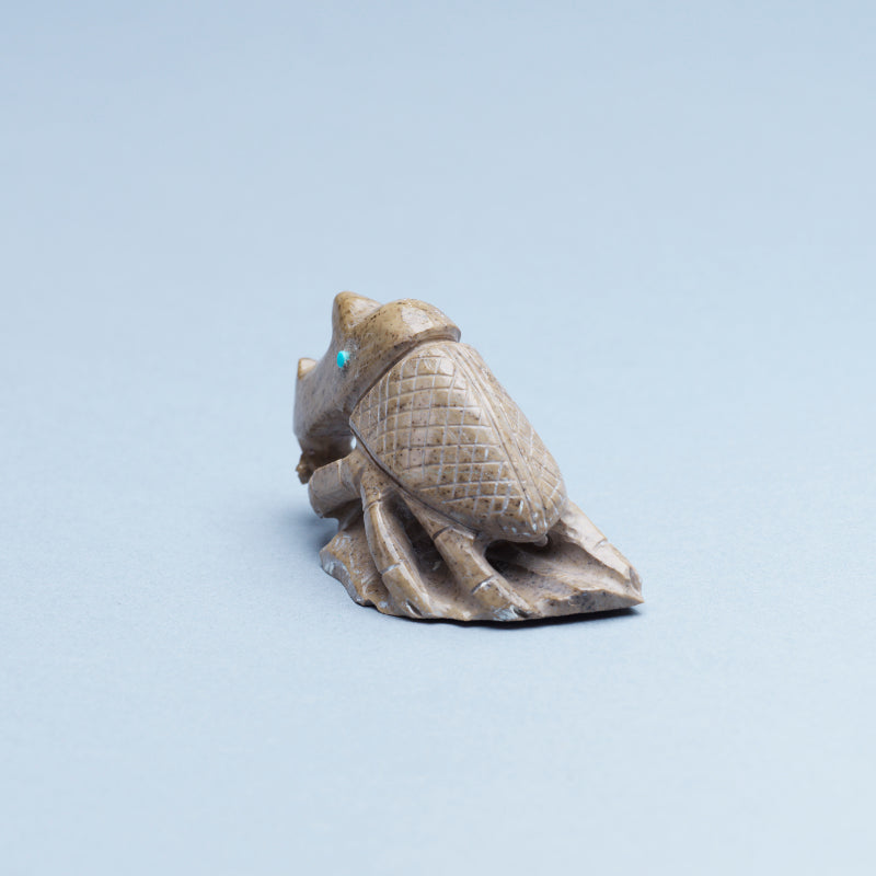 Derrick Kaamasee: Brown Fishrock, Rhino Beetle