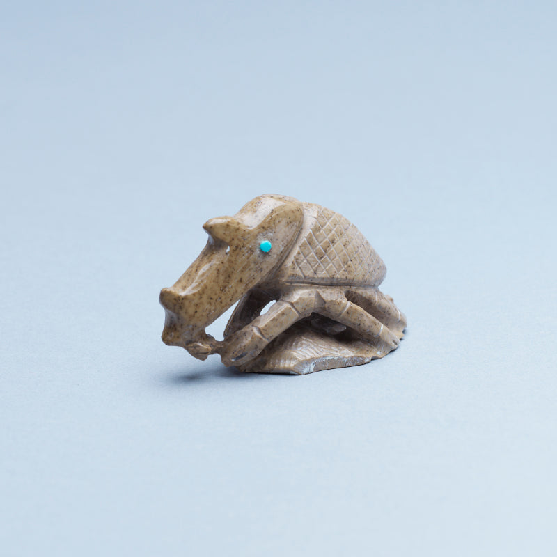 Derrick Kaamasee: Brown Fishrock, Rhino Beetle