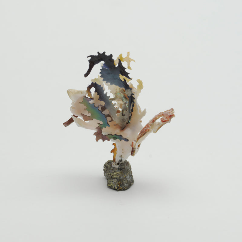 Ruben Najera: Shell, Sea Horses