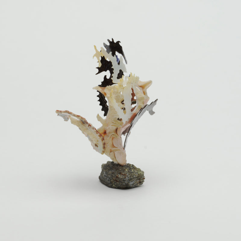 Ruben Najera: Shell, Sea Horses