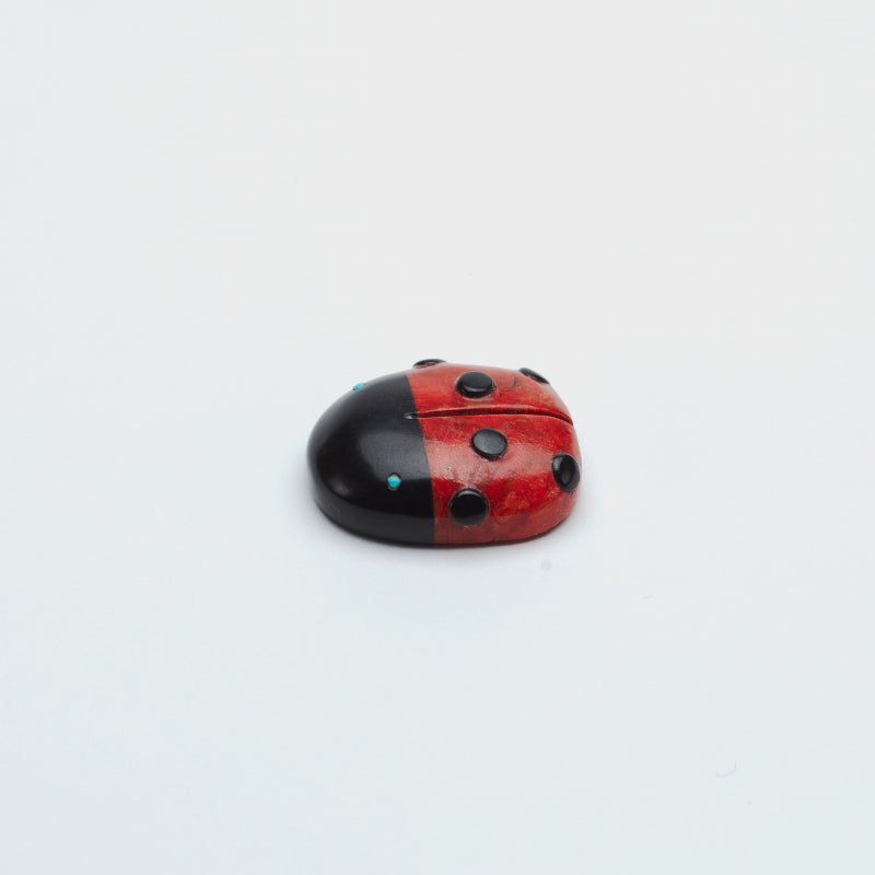 Georgette Quam: Apple coral, Ladybug