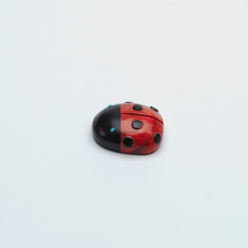 Georgette Quam: Apple coral, Ladybug